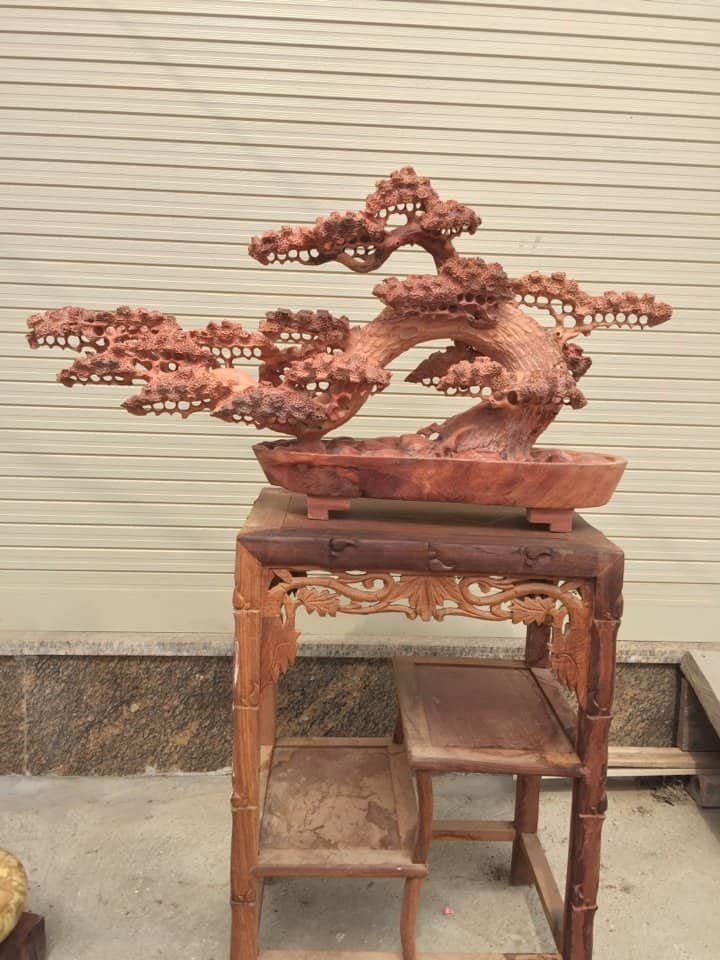 Bonsai tùng dáng huyền gỗ hương Gia Lai