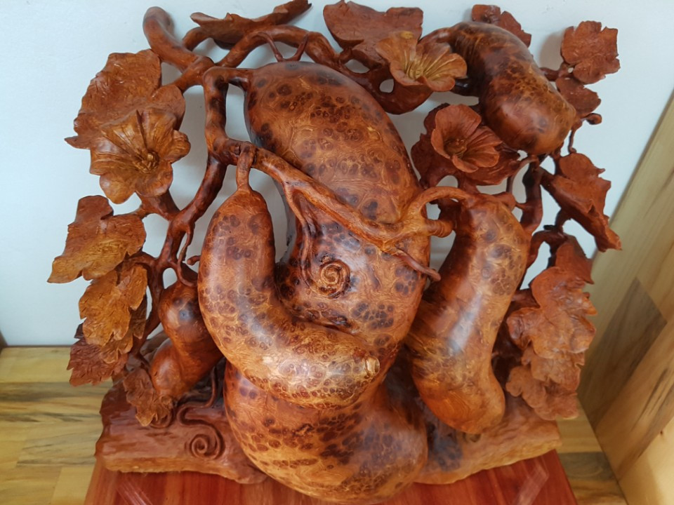 Bầu bí Nu Hương