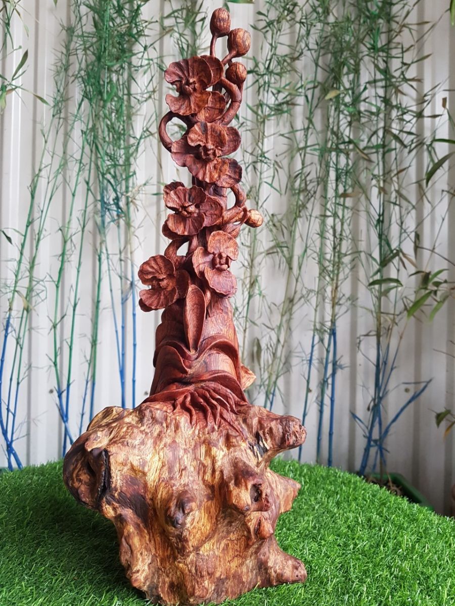 Hoa lan hồ điệp gỗ cẩm lông chuột
