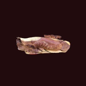 Tượng Cá Kim Long gỗ hương 69x22x12cm